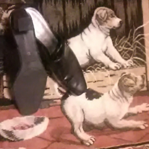 Shoes - Picture 4 of 5